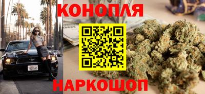 сатива Лесосибирск