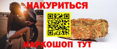сатива Лесосибирск
