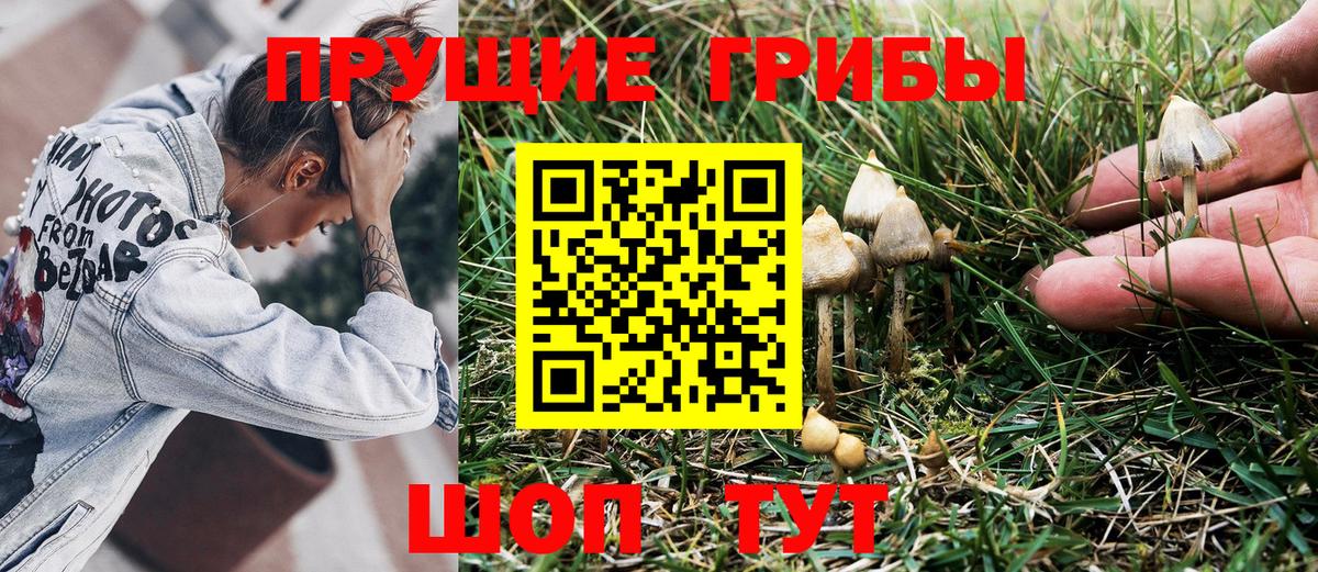 Псилоцибиновые грибы MAGIC MUSHROOMS Еманжелинск