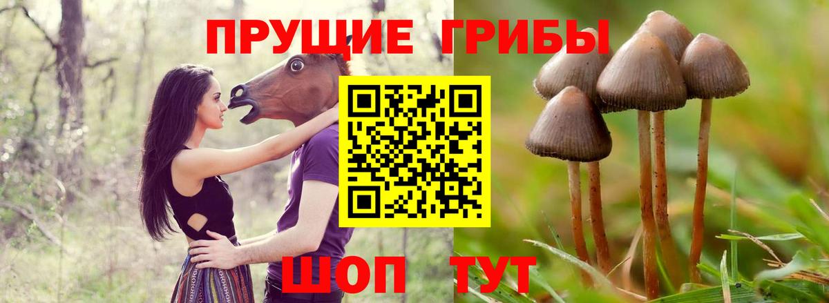 Галлюциногенные грибы мухоморы  Вход с VPN  Еманжелинск 